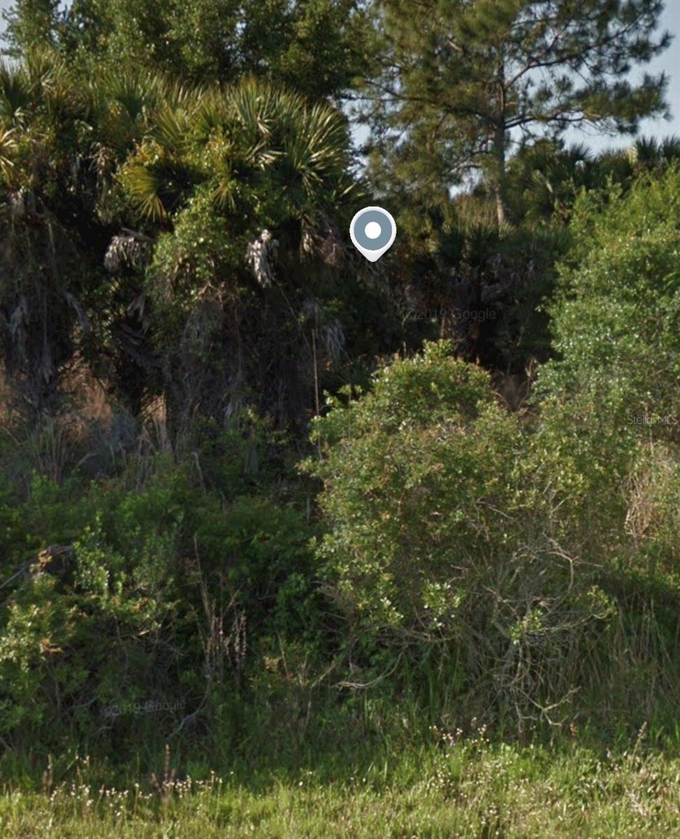 AZURE RD — photo 3