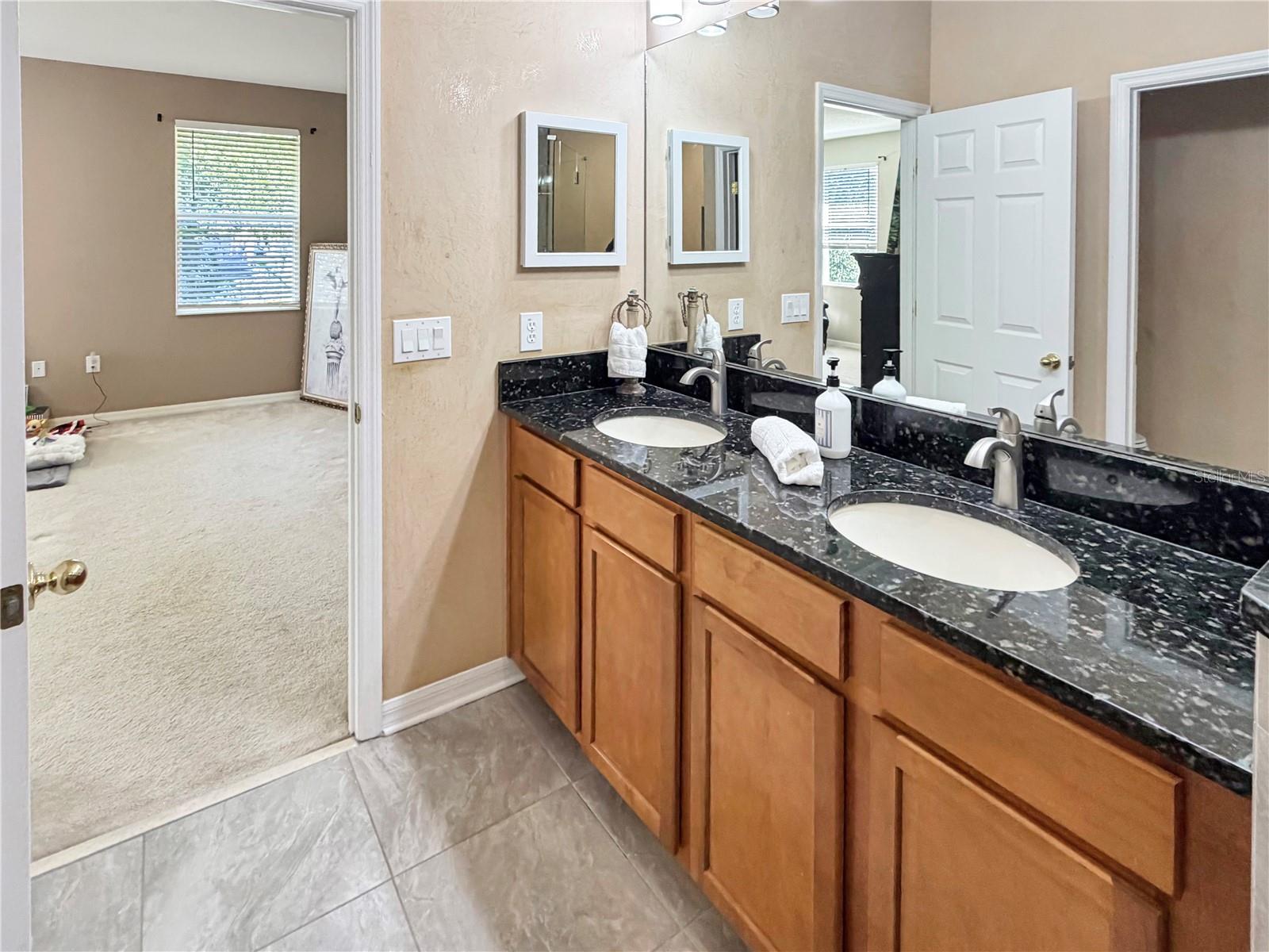 4445 AMBERLY OAKS CT — photo 18