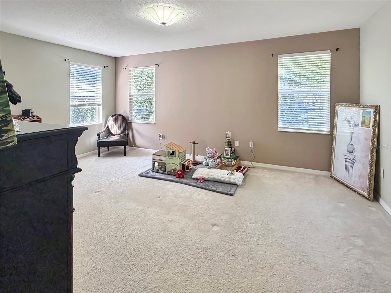 4445 AMBERLY OAKS CT — photo 23