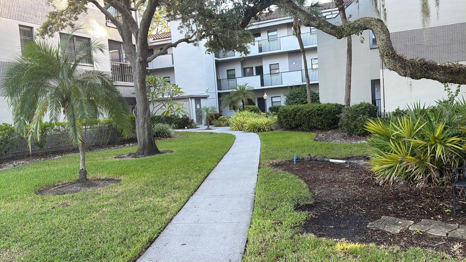 2650 COUNTRYSIDE BLVD #B302 — photo 29