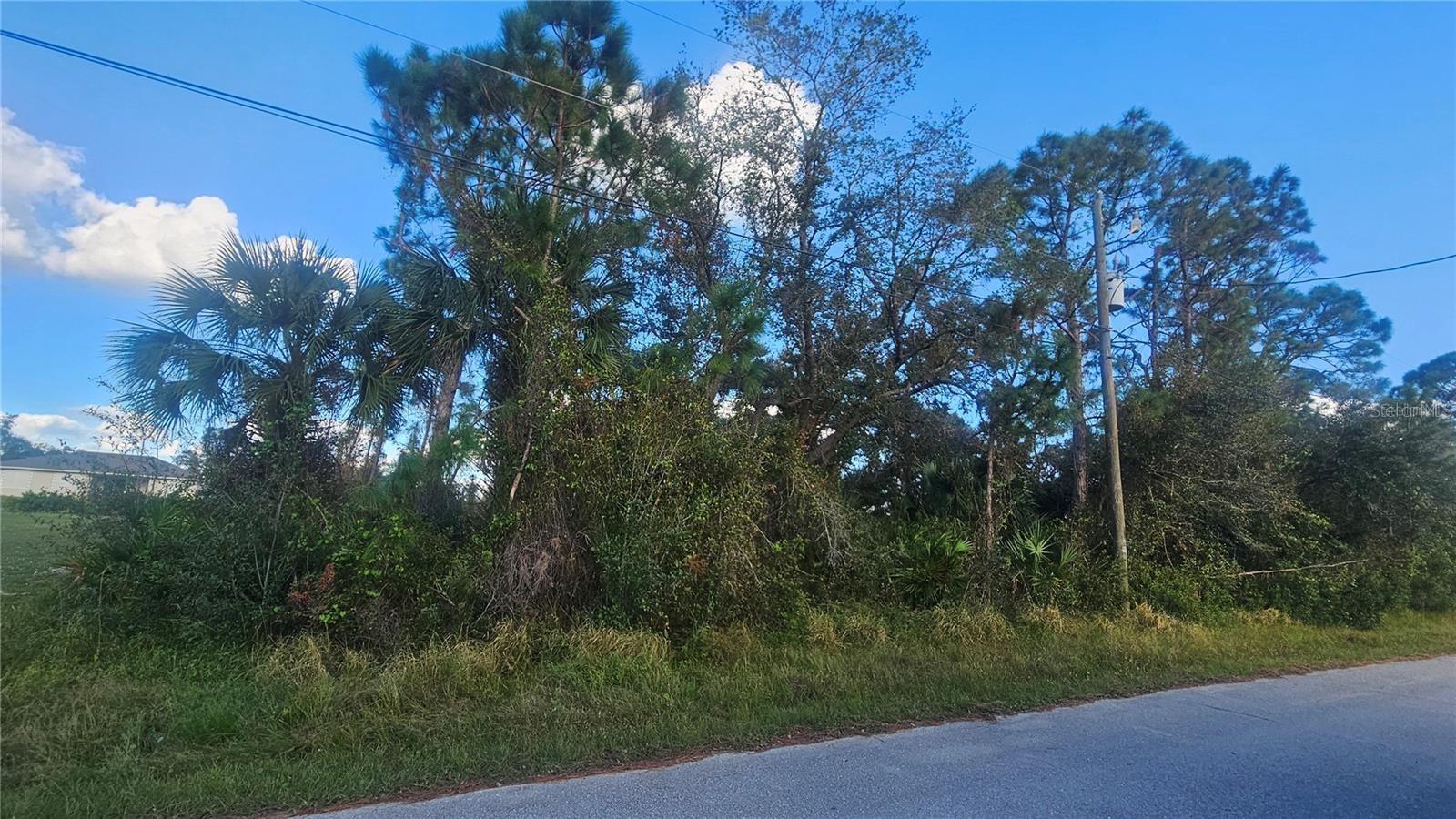 DEER RUN LOT 44 RD — photo 4