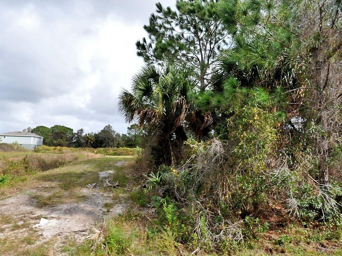 DEER RUN LOT 44 RD — photo 8