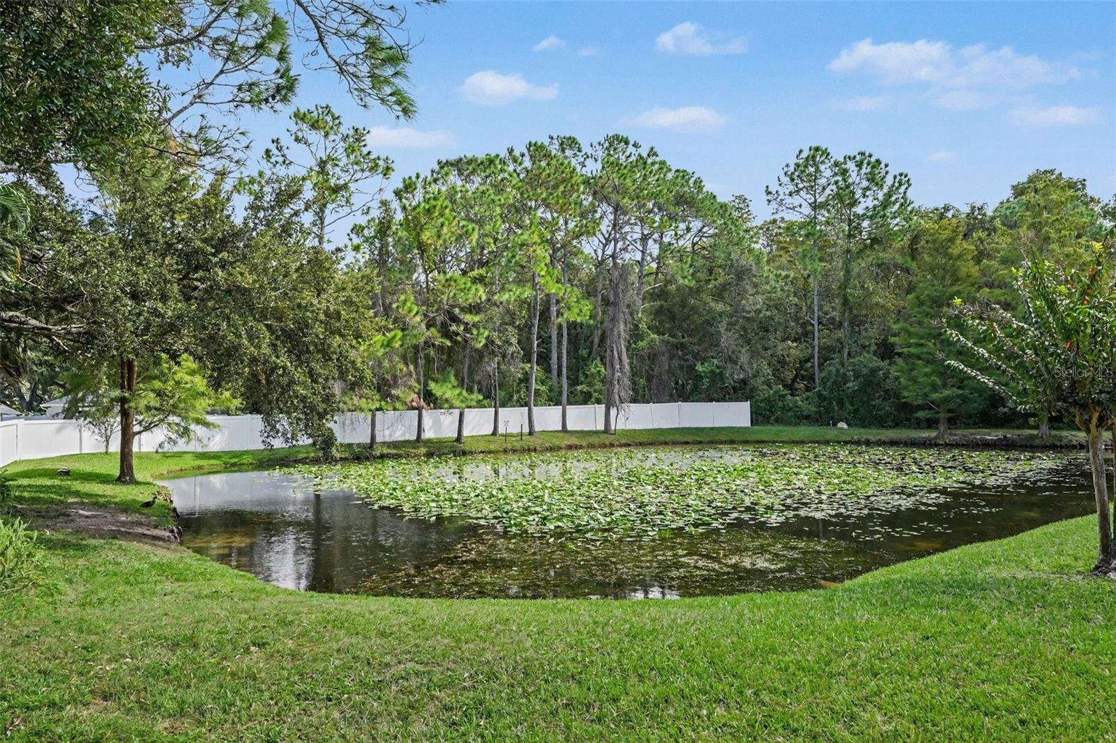 8419 EDGEWATER PLACE BLVD — photo 33