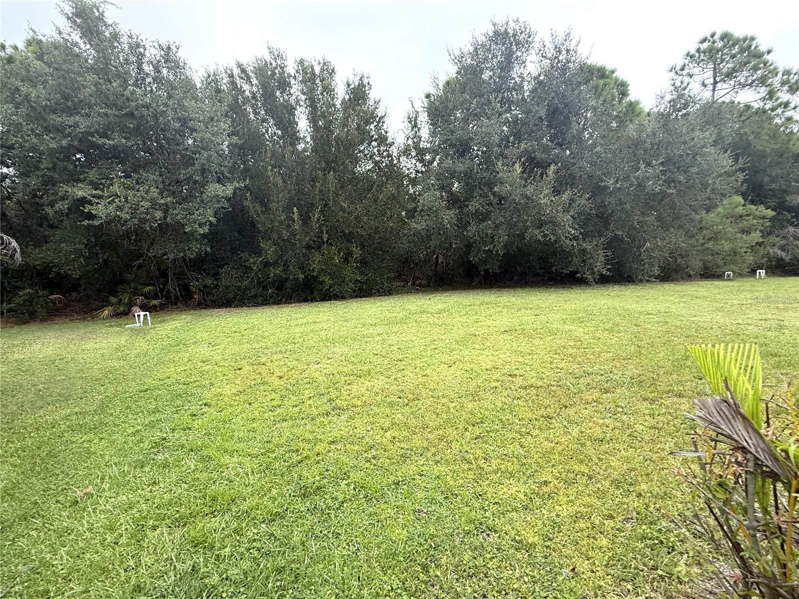 12196 ALACHUA LN — photo 20