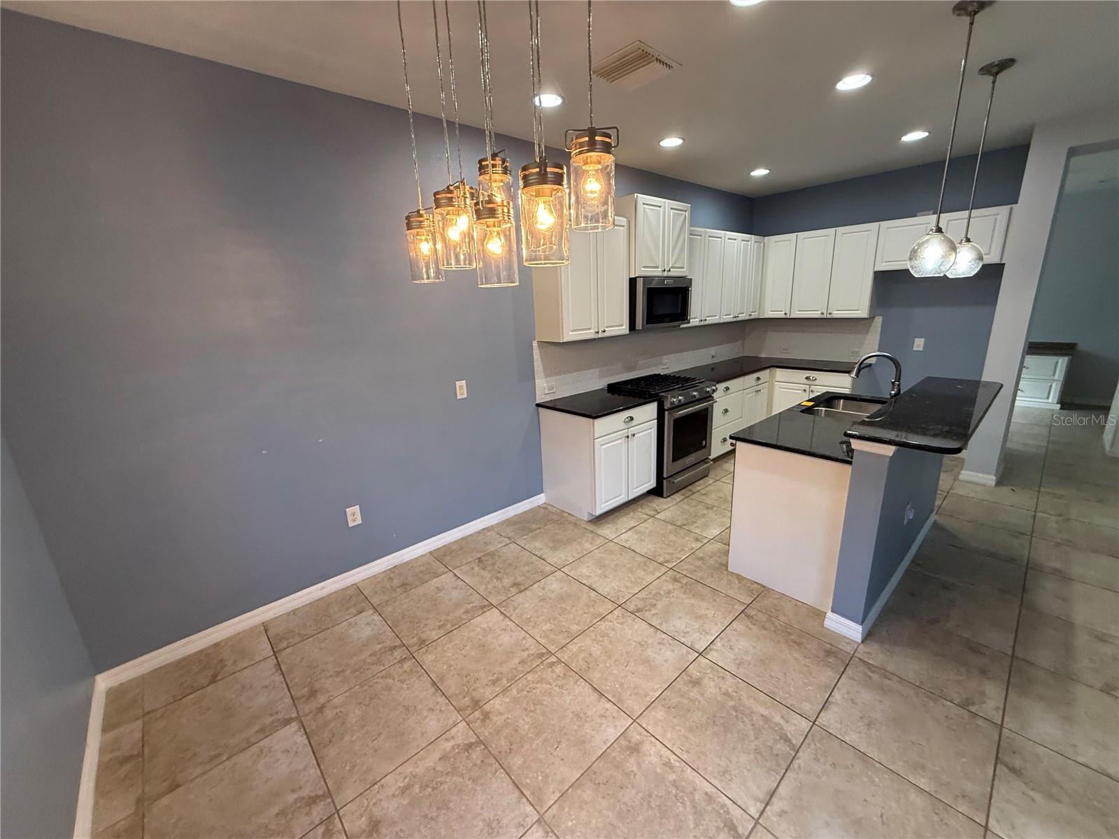 12196 ALACHUA LN — photo 6
