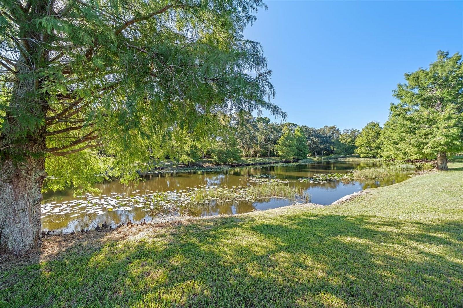 7050 OWLS NEST TER — photo 41