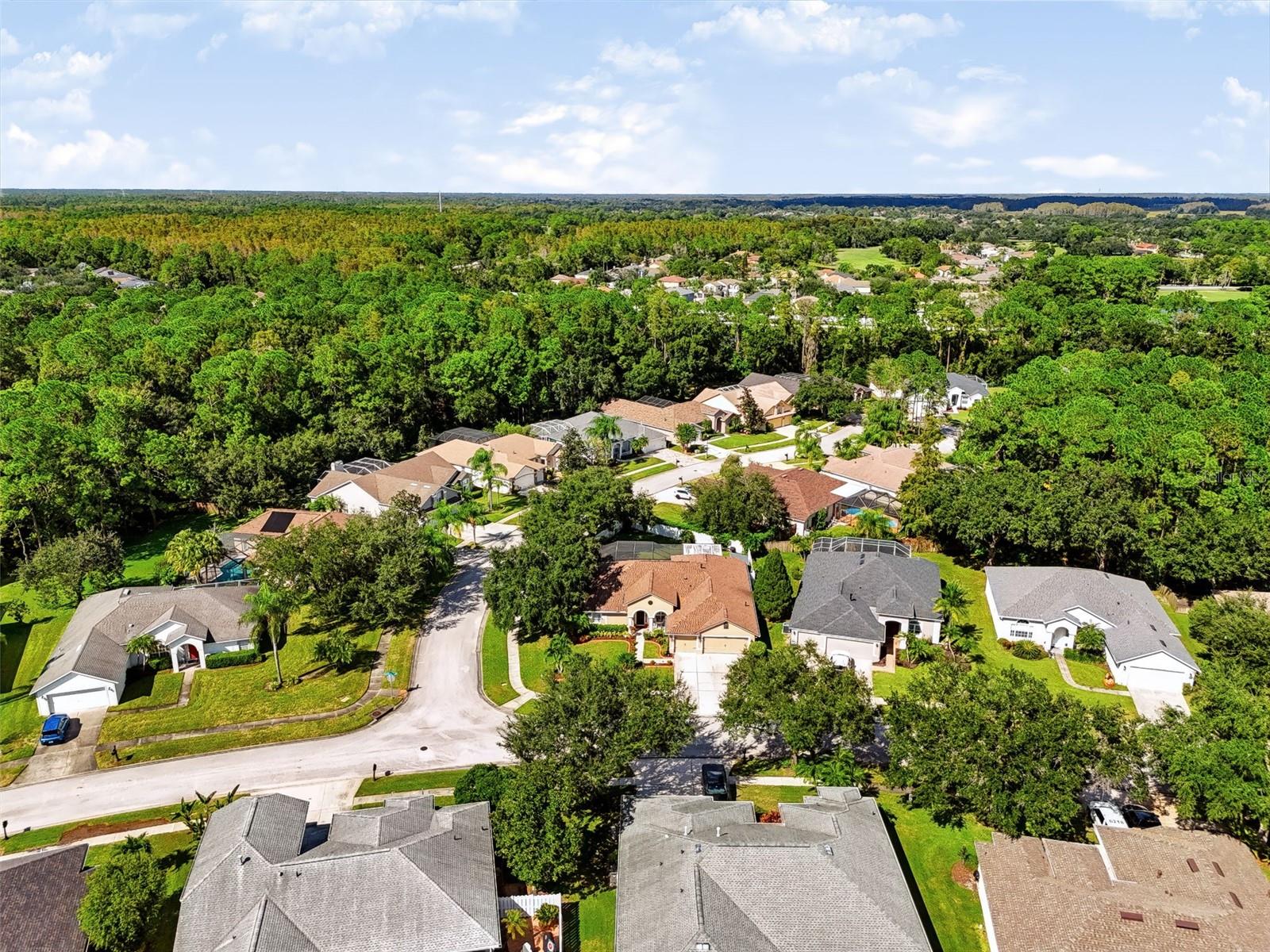 12541 LEATHERLEAF DR — photo 3
