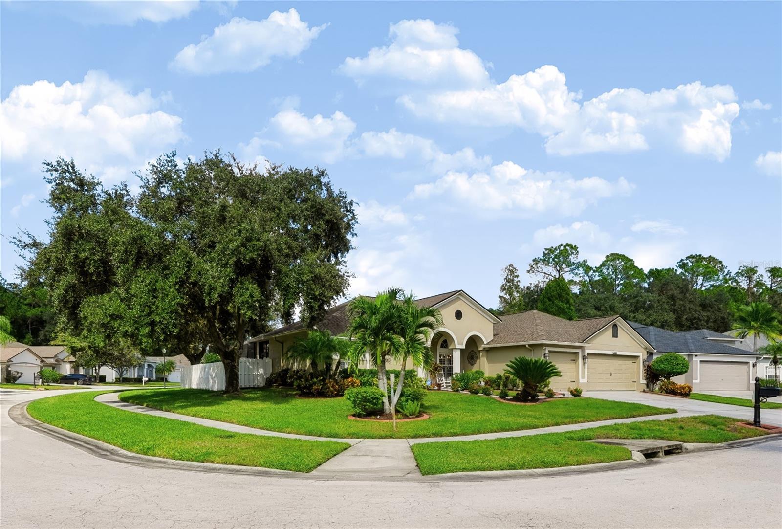 12541 LEATHERLEAF DR — photo 6