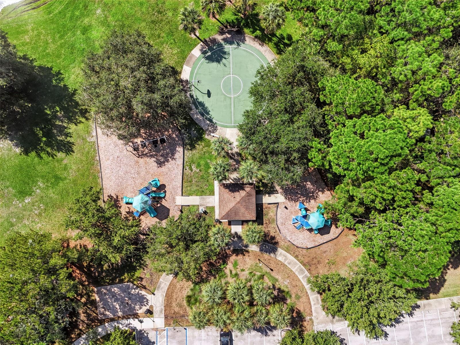 12541 LEATHERLEAF DR — photo 36