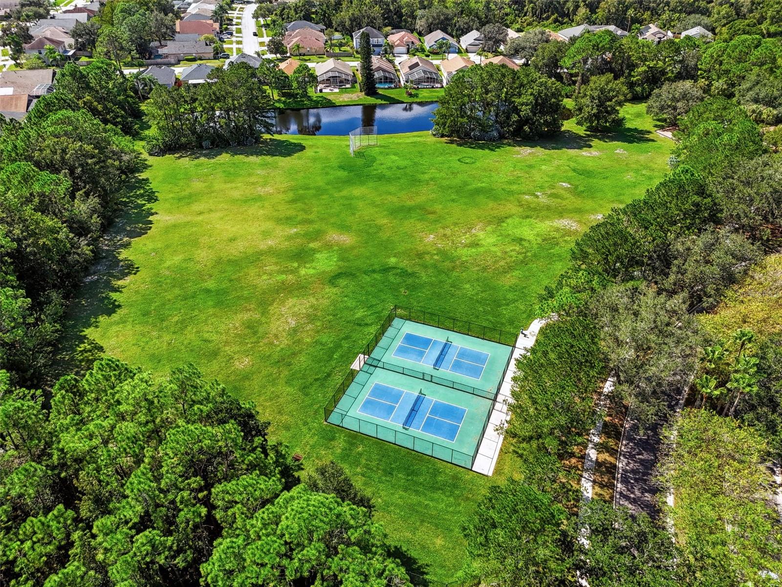 12541 LEATHERLEAF DR — photo 37