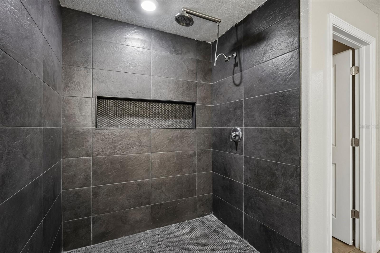 4103 GLOBE THISTLE DR — photo 15