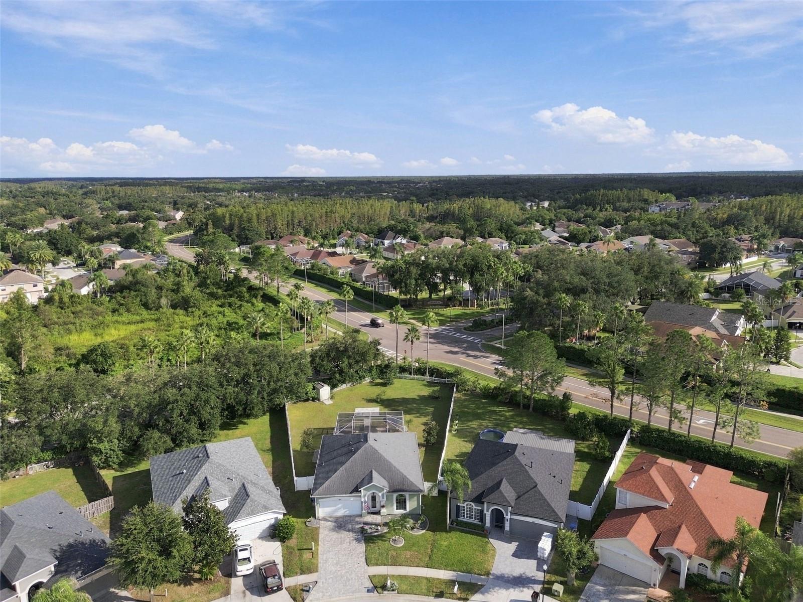 10225 GOLDENBROOK WAY — photo 57