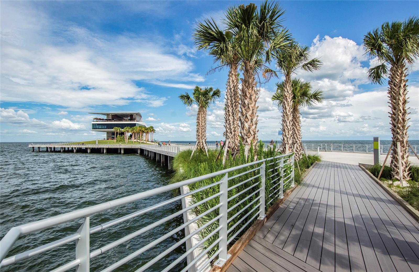 700 BEACH DR NE #701 — photo 49