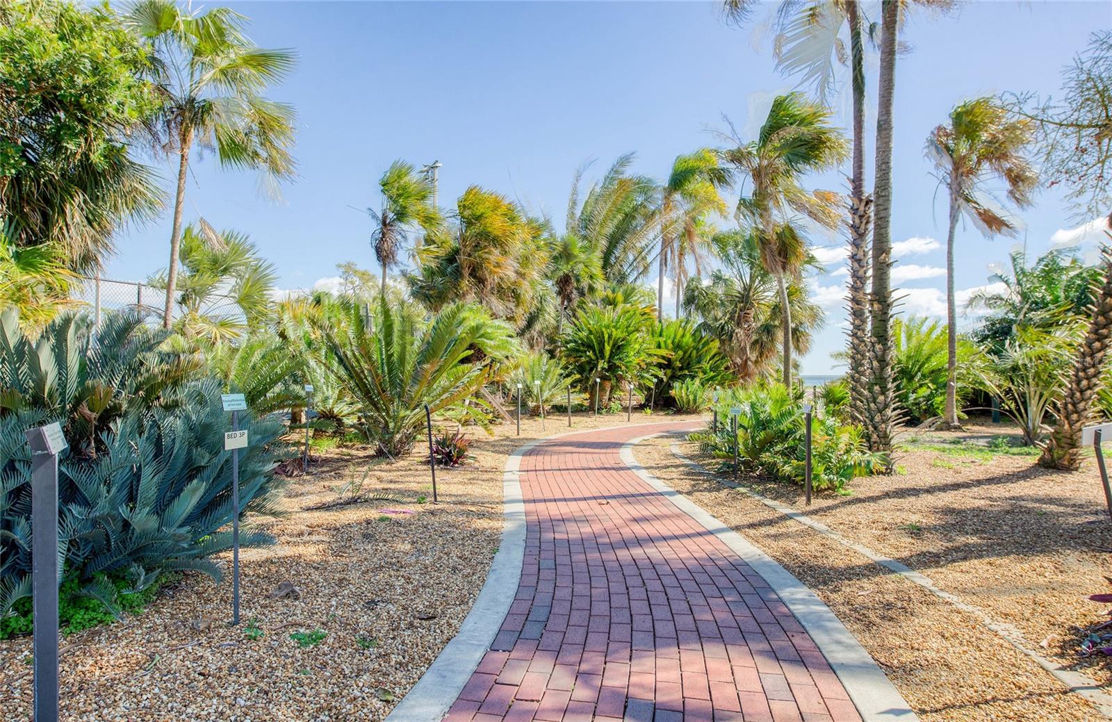 700 BEACH DR NE #701 — photo 52
