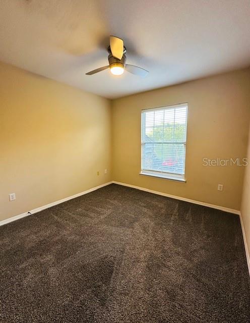 10203 COURTNEY PALMS BLVD #202 — photo 35