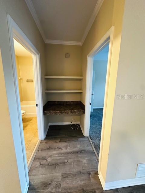 10203 COURTNEY PALMS BLVD #202 — photo 24
