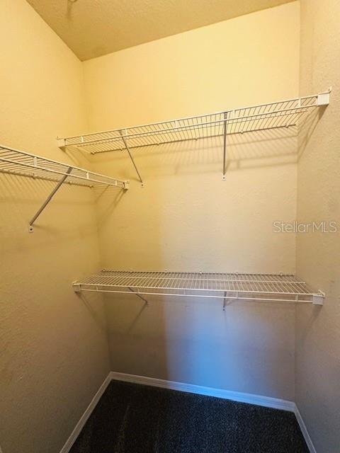 10203 COURTNEY PALMS BLVD #202 — photo 30