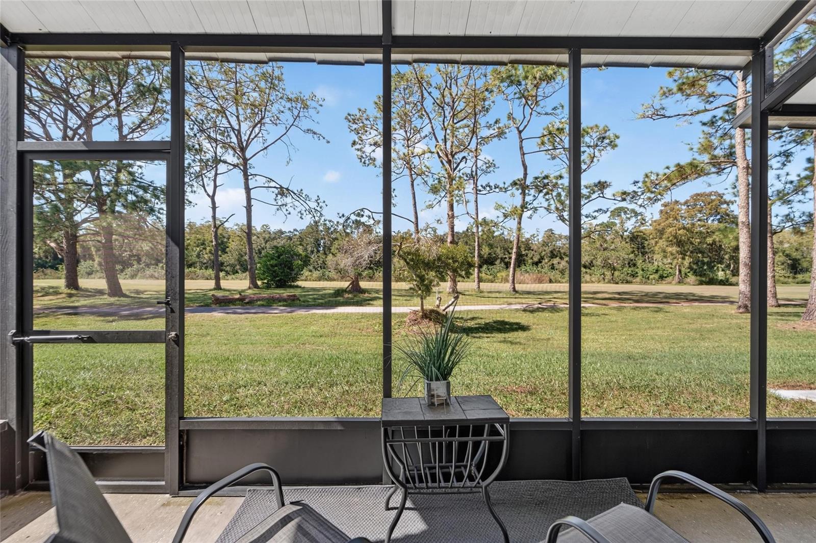 16216 RAMBLING VINE DR W — photo 28
