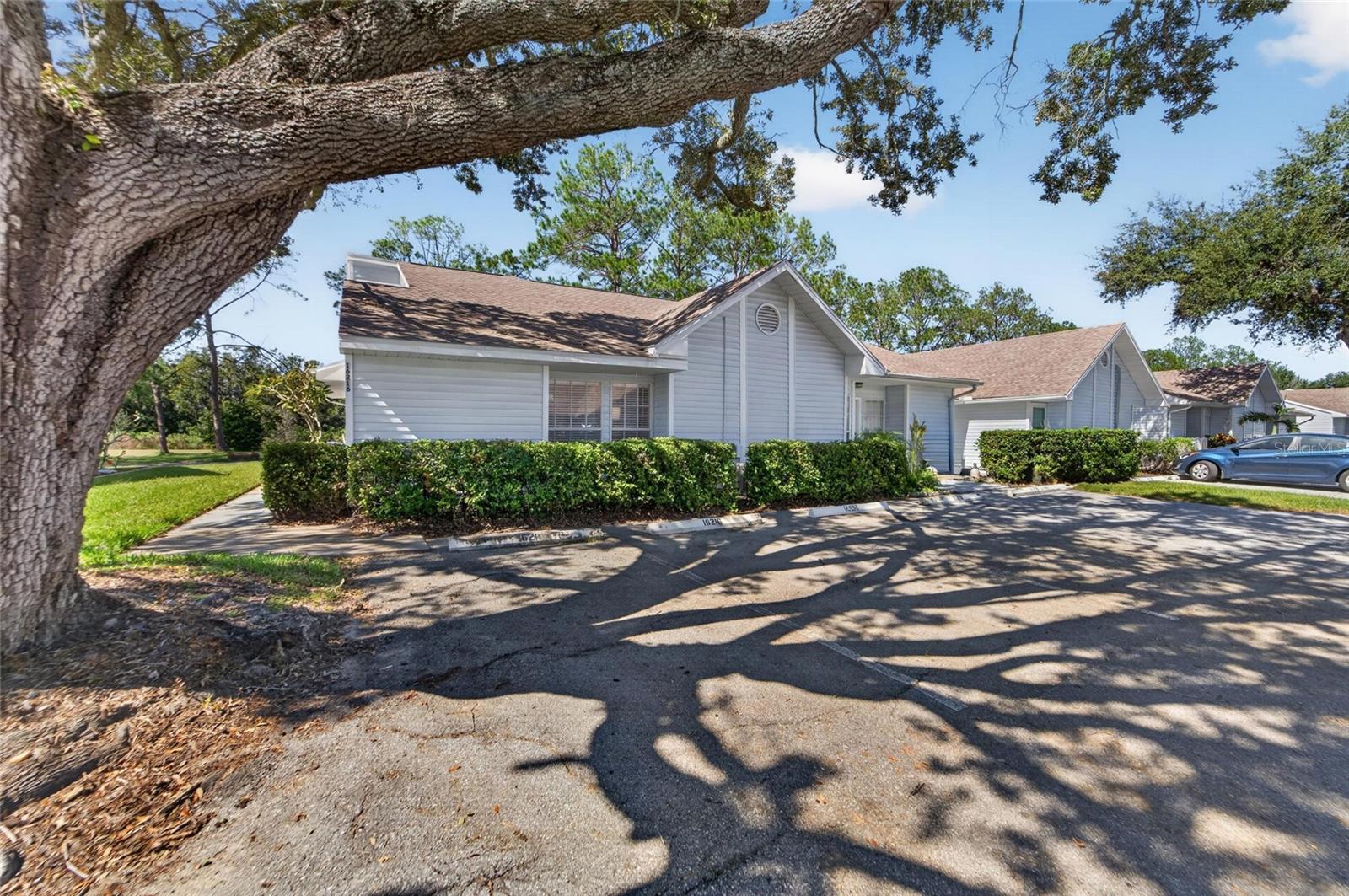 16216 RAMBLING VINE DR W — photo 41