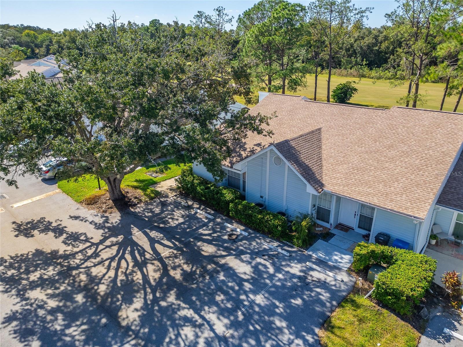 16216 RAMBLING VINE DR W — photo 40