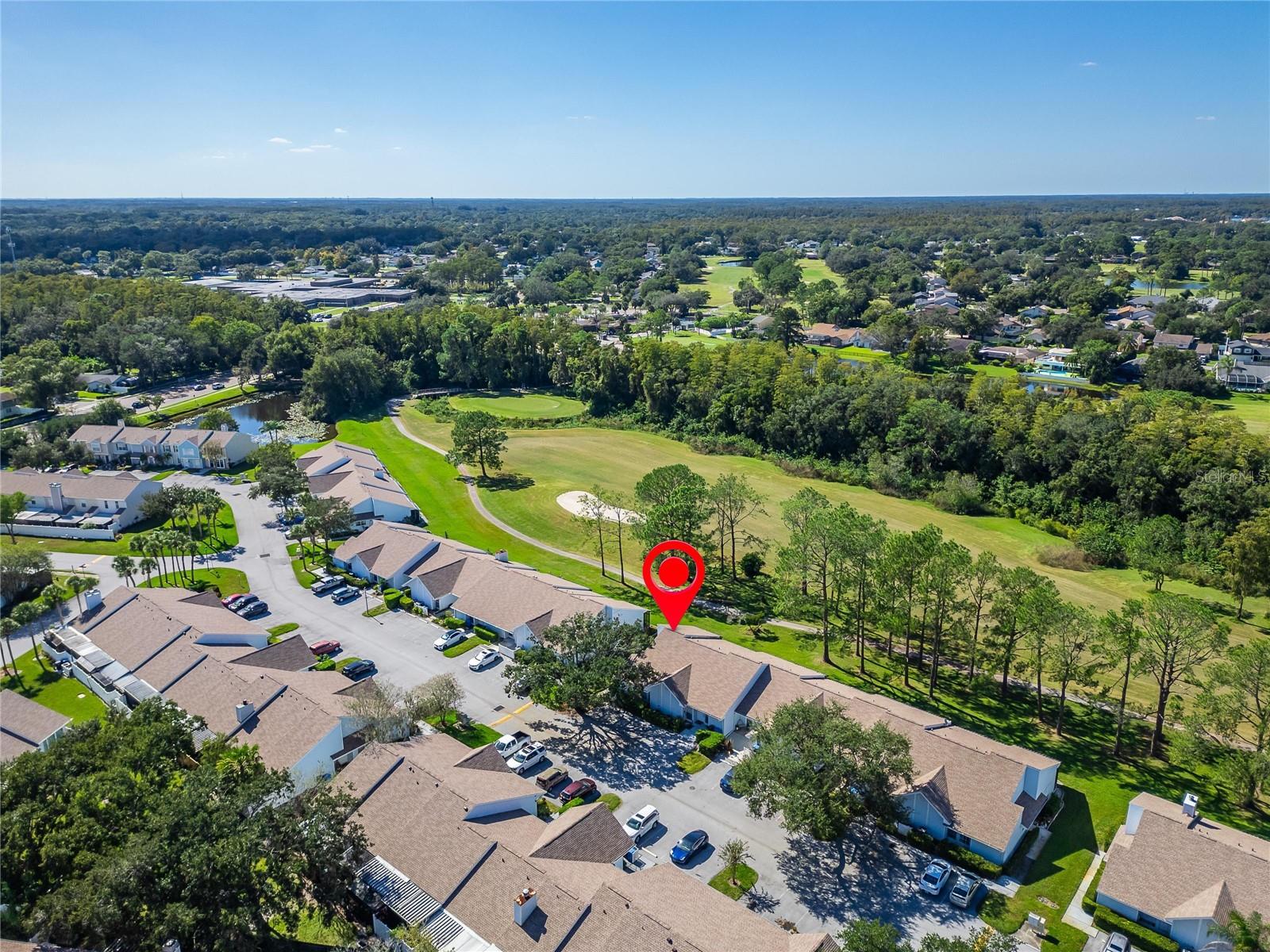 16216 RAMBLING VINE DR W — photo 48