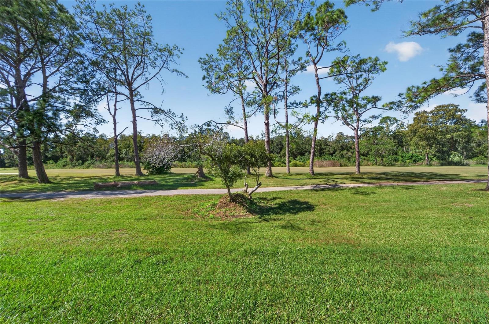 16216 RAMBLING VINE DR W — photo 35
