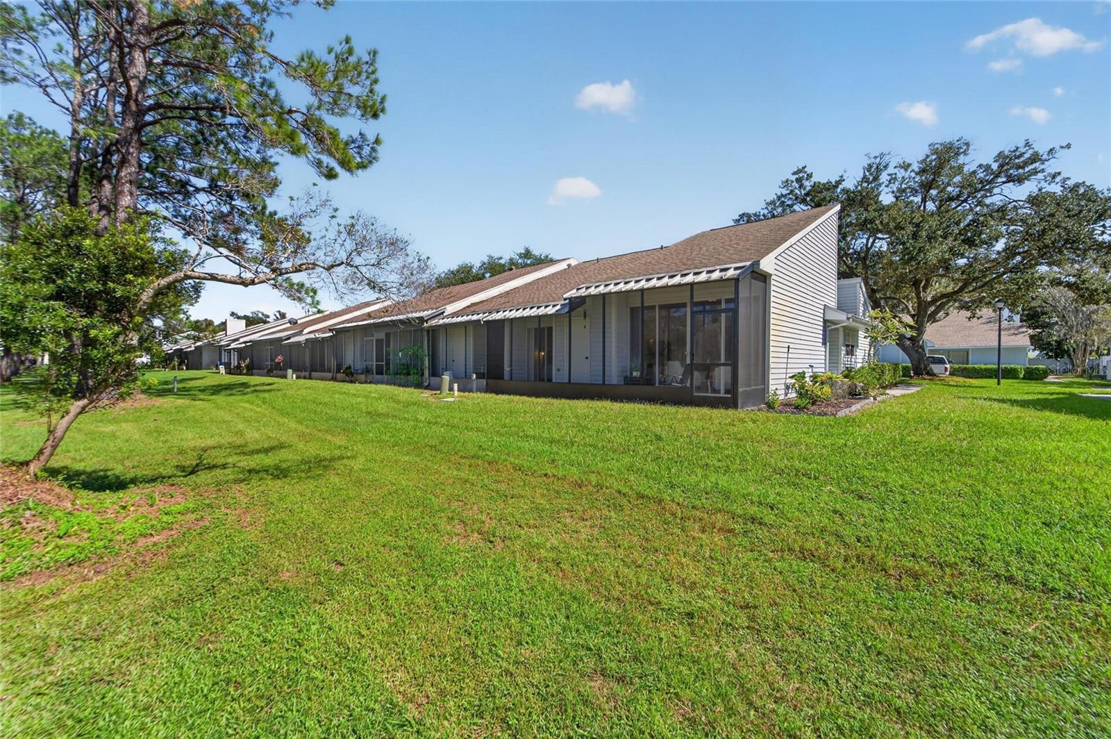 16216 RAMBLING VINE DR W — photo 42