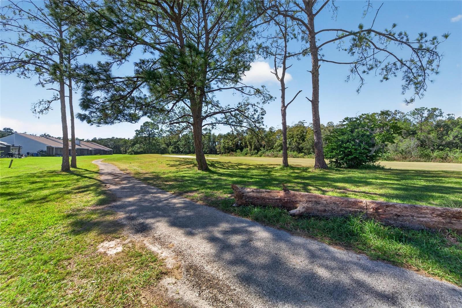 16216 RAMBLING VINE DR W — photo 34