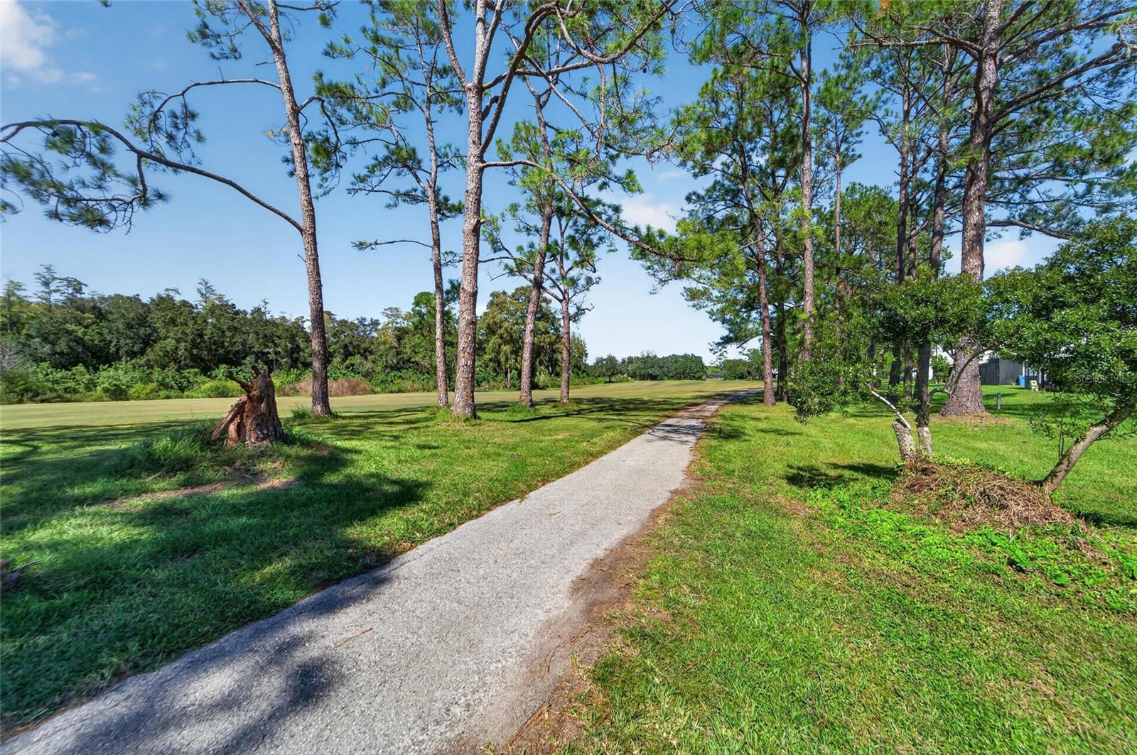 16216 RAMBLING VINE DR W — photo 36