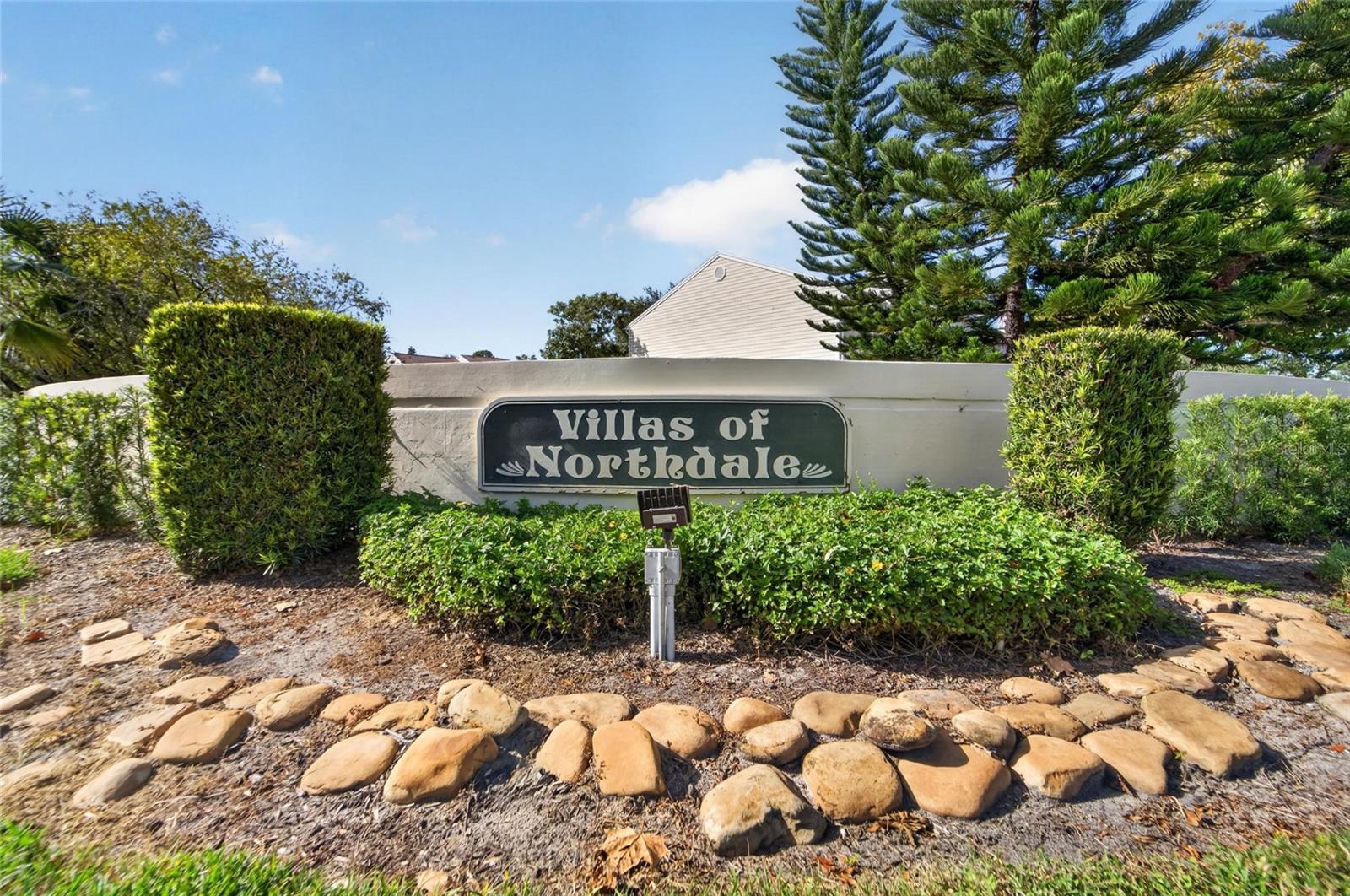 16216 RAMBLING VINE DR W — photo 52
