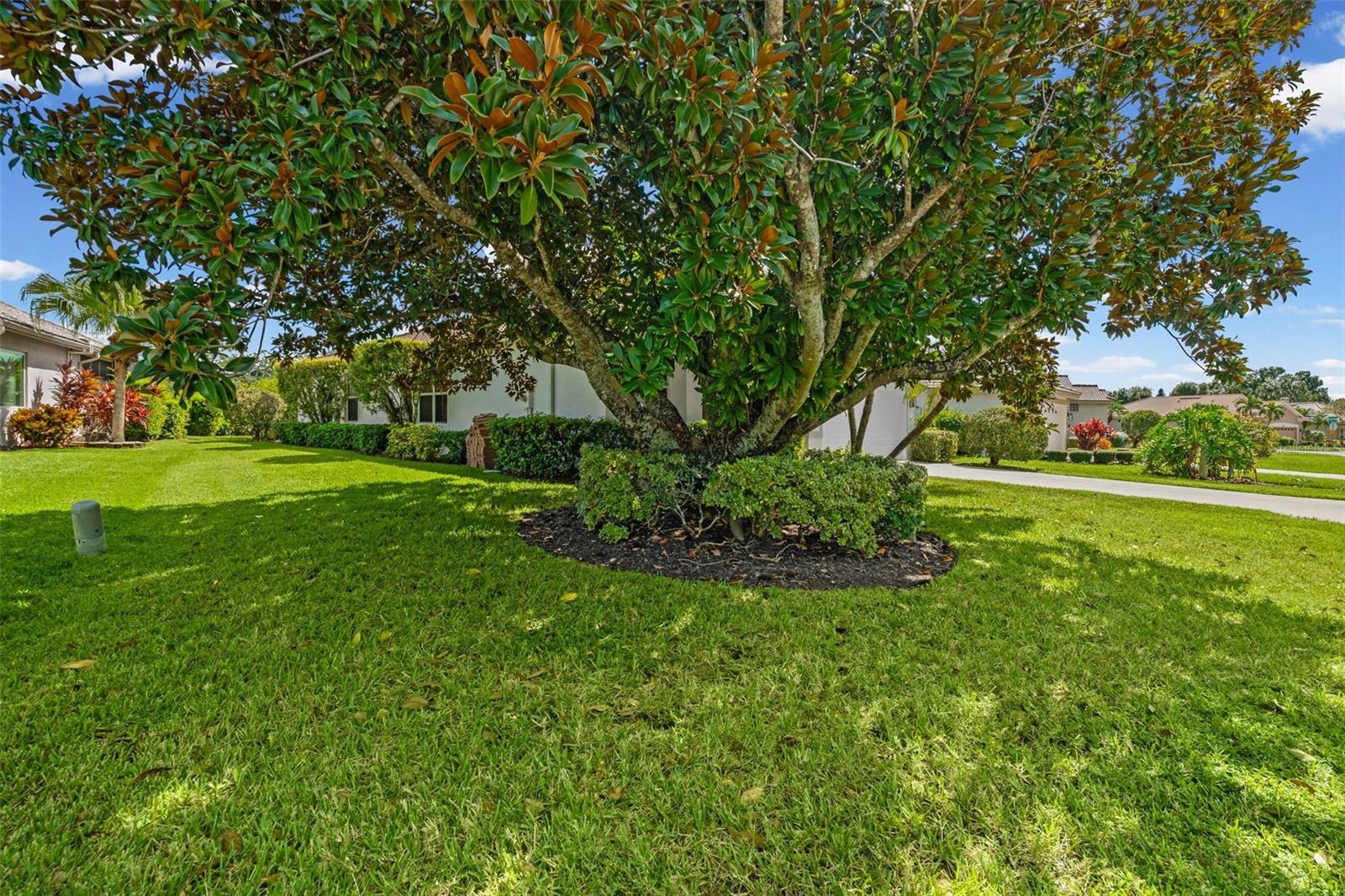 7164 DREWRYS BLF — photo 52