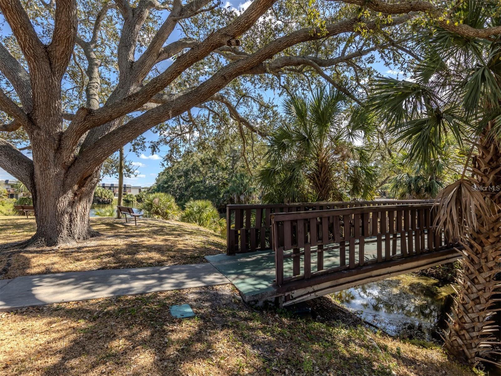 3208 RAMBLEWOOD DR N — photo 30