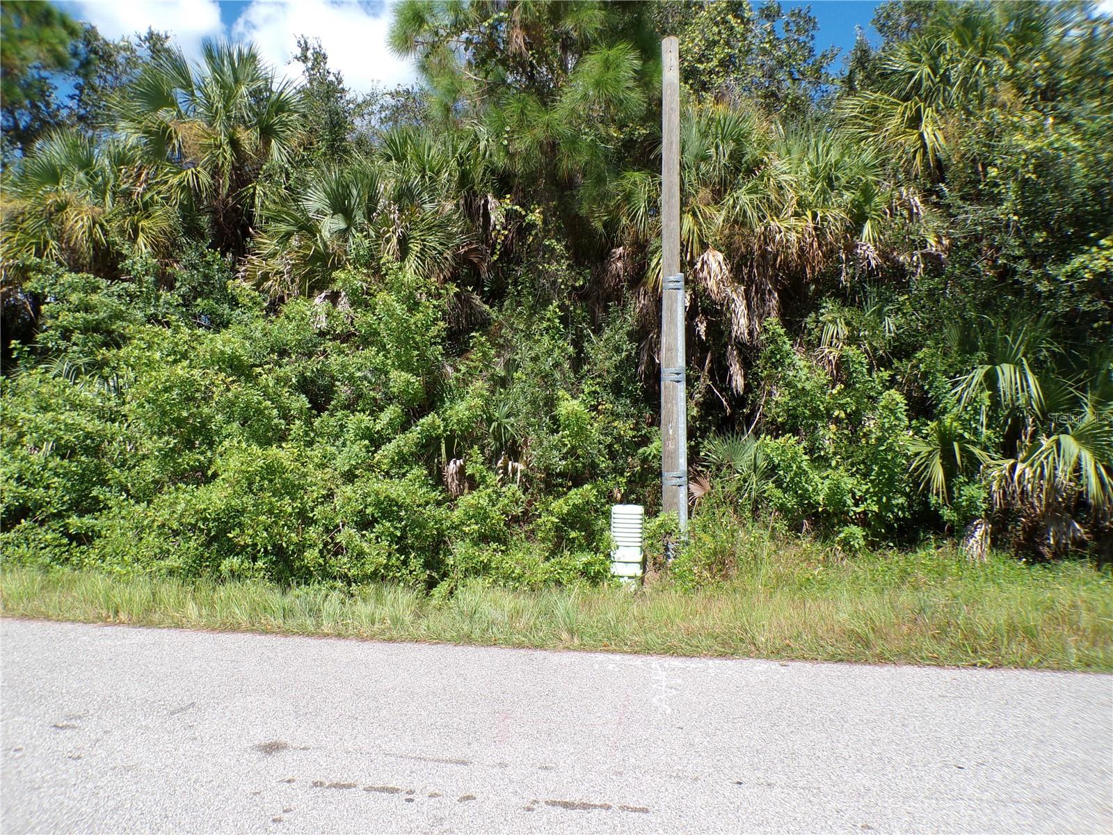 NANSEN LN — photo 6