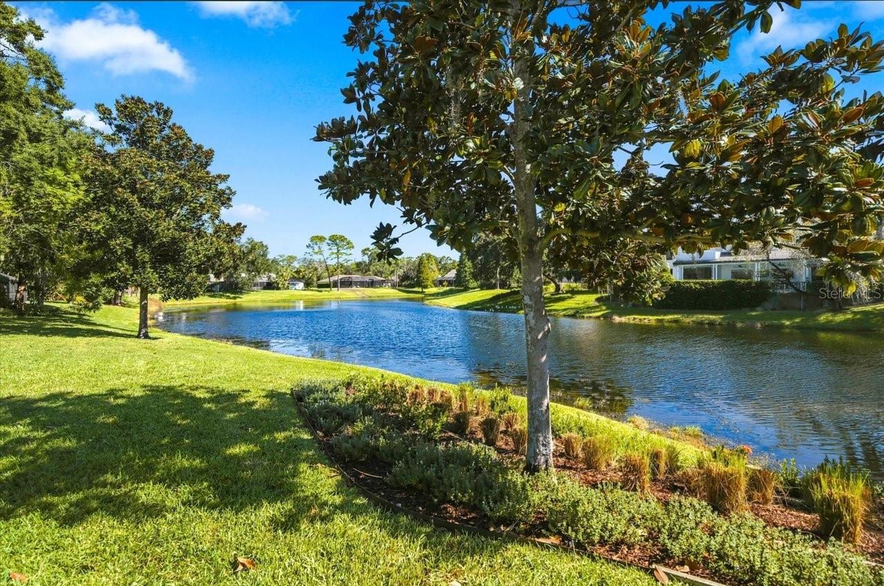 4110 CARROLLWOOD VILLAGE DR — photo 47