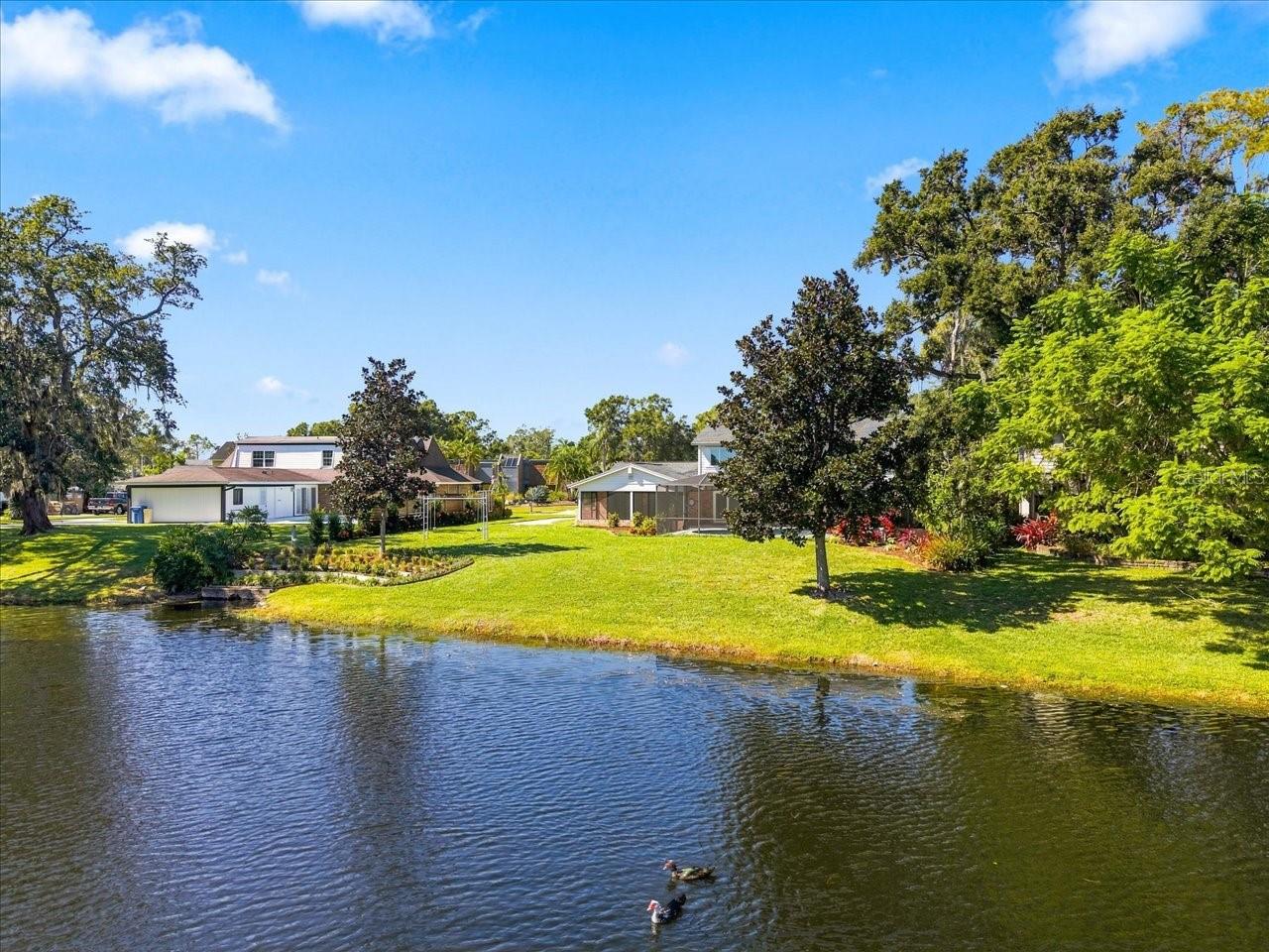 4110 CARROLLWOOD VILLAGE DR — photo 51