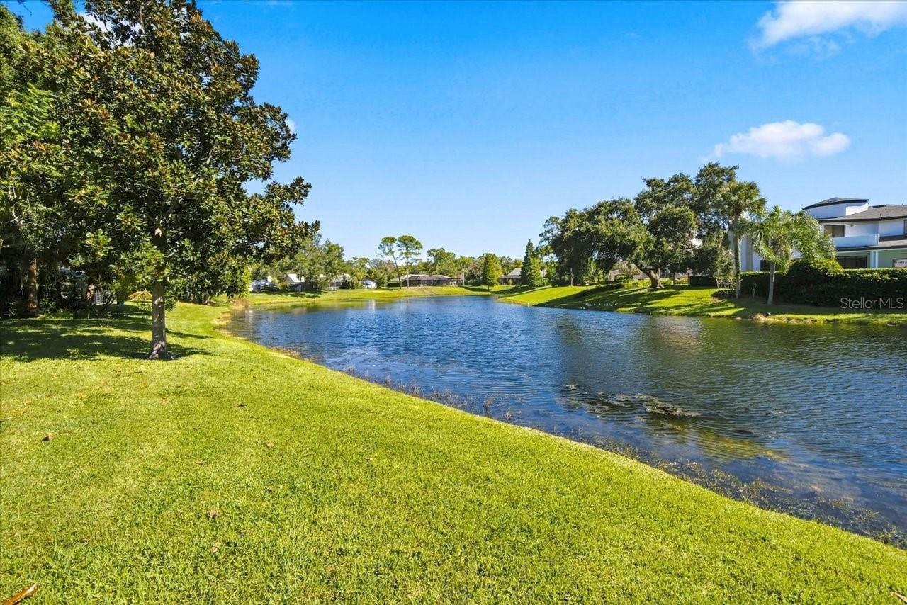 4110 CARROLLWOOD VILLAGE DR — photo 4