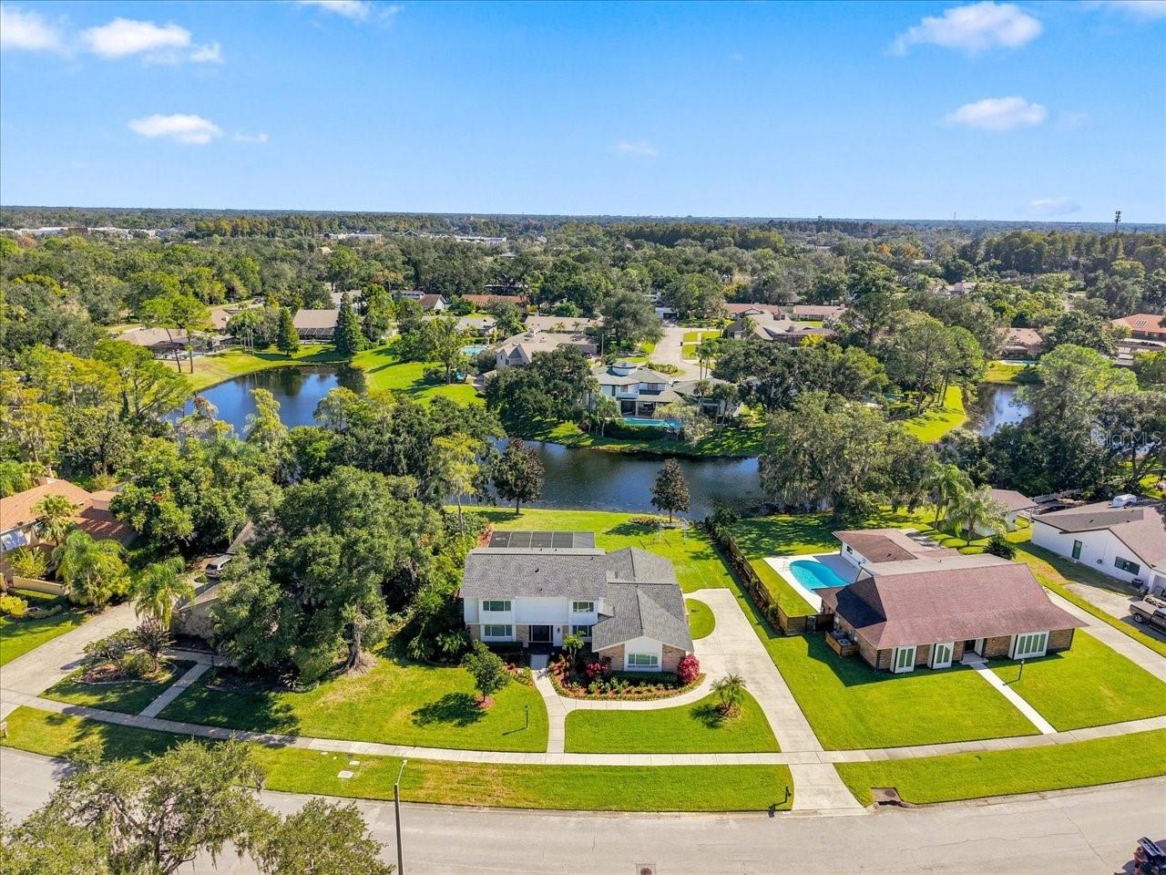 4110 CARROLLWOOD VILLAGE DR — photo 53