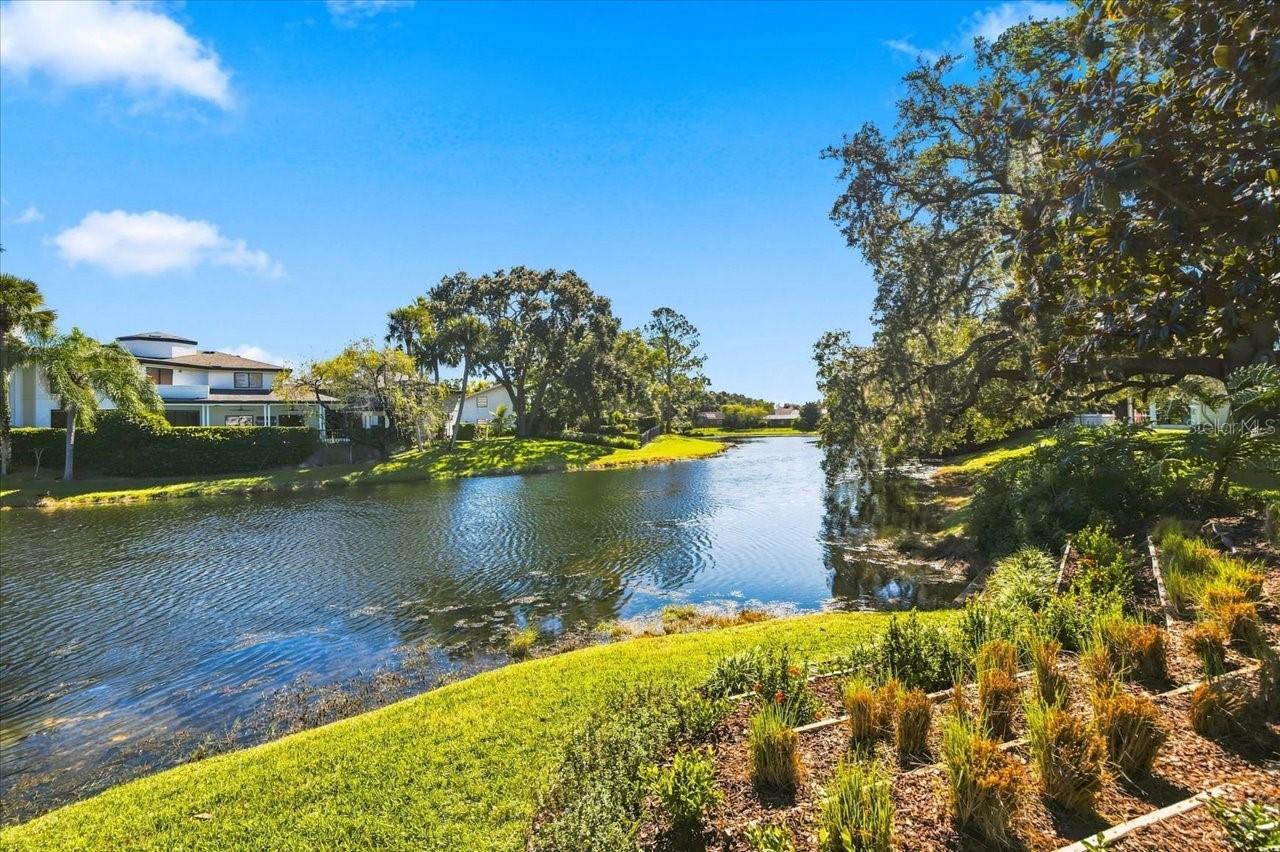 4110 CARROLLWOOD VILLAGE DR — photo 48