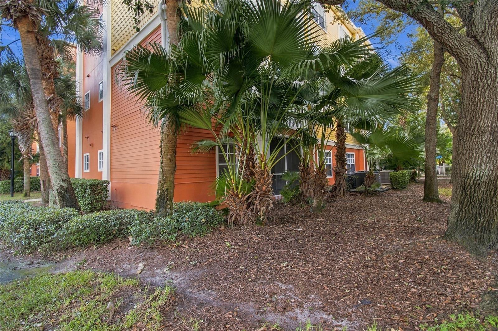 4207 S DALE MABRY HWY #2113 — photo 57