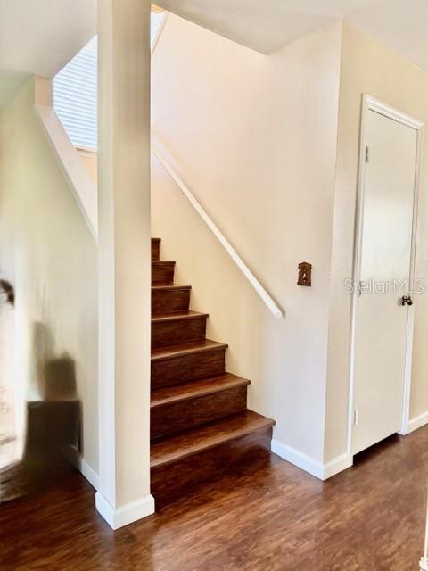 13020 LORNA PL — photo 15