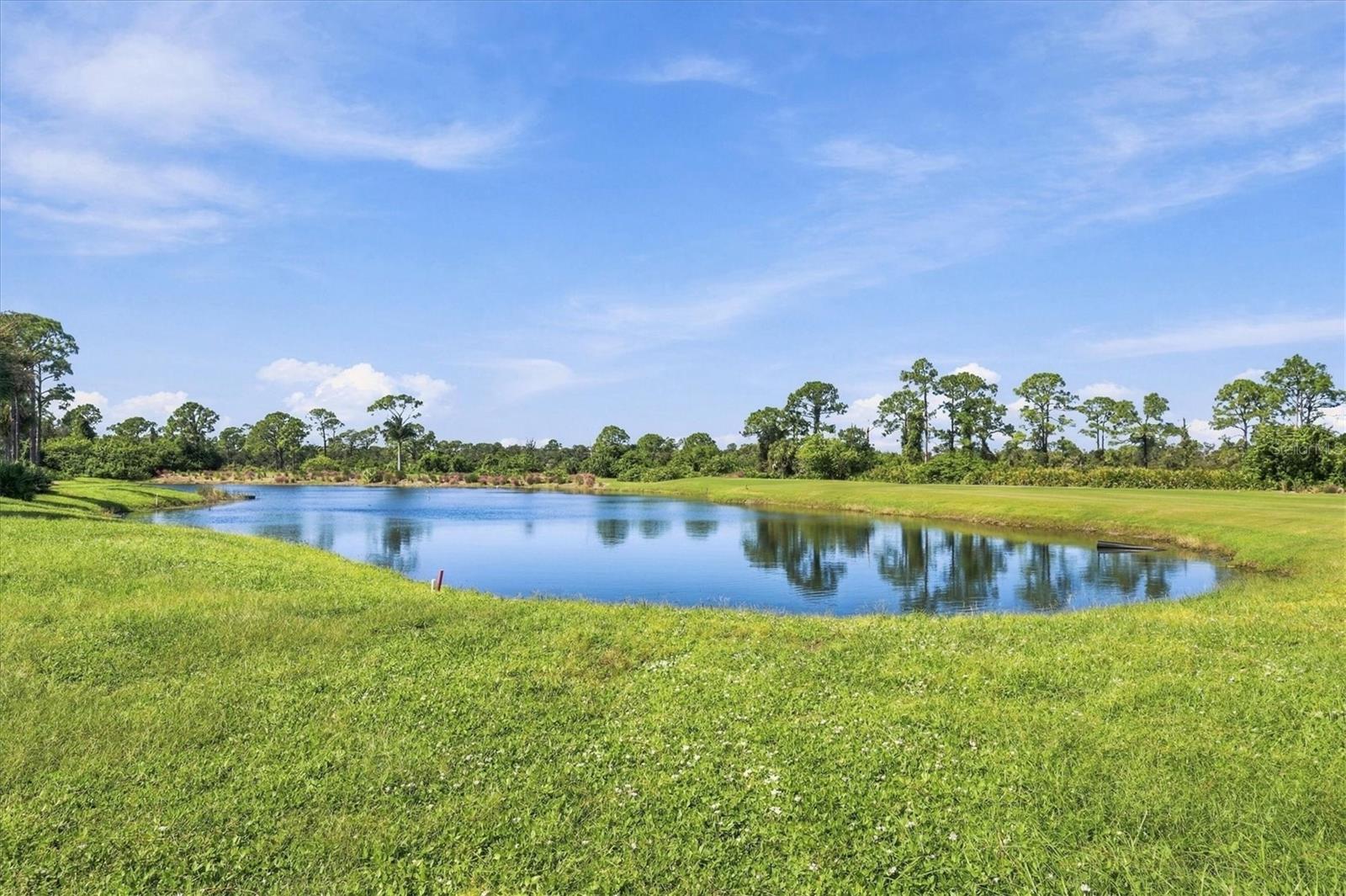 5496 WHITE IBIS DR — photo 46