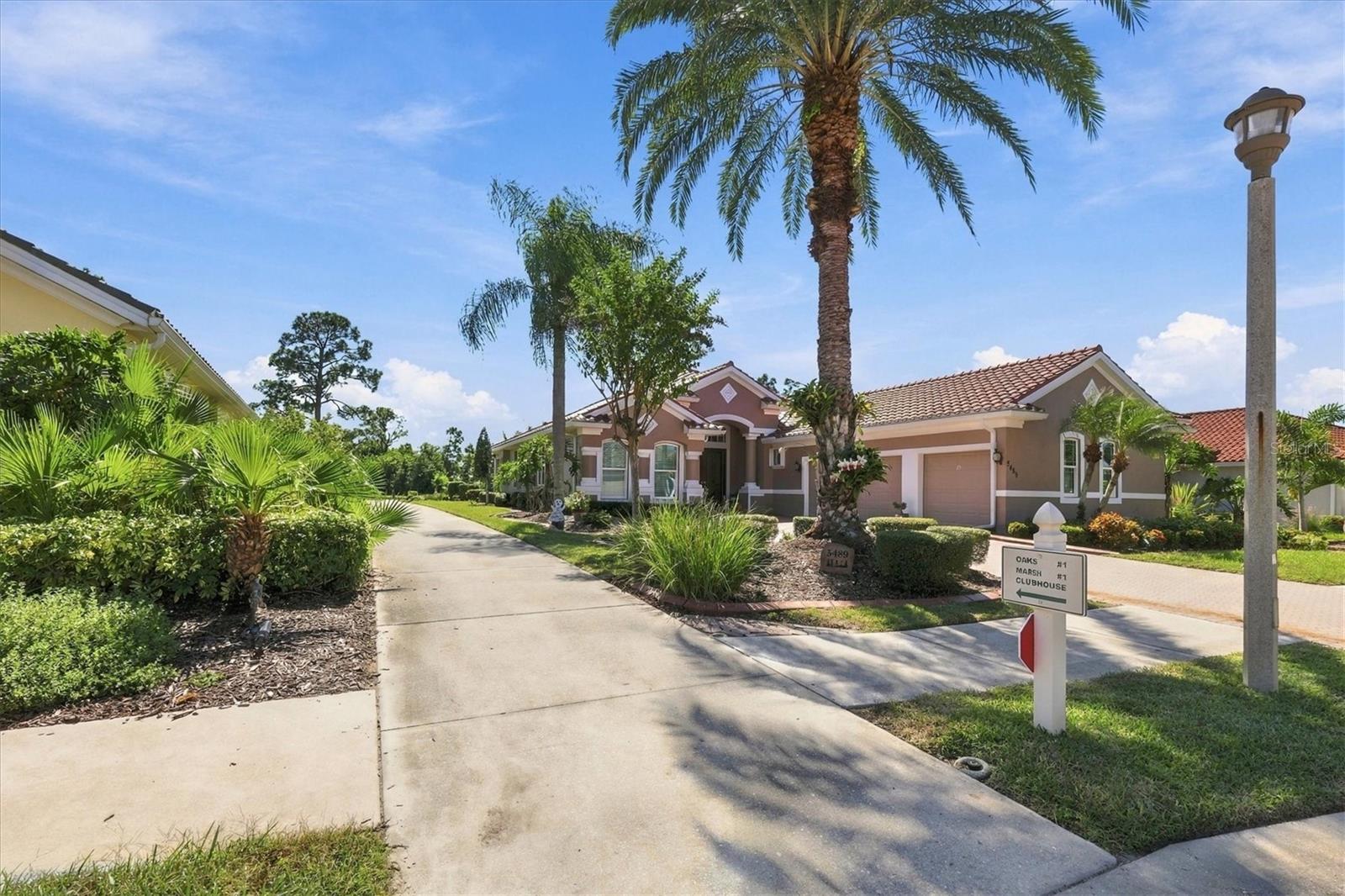 5496 WHITE IBIS DR — photo 54