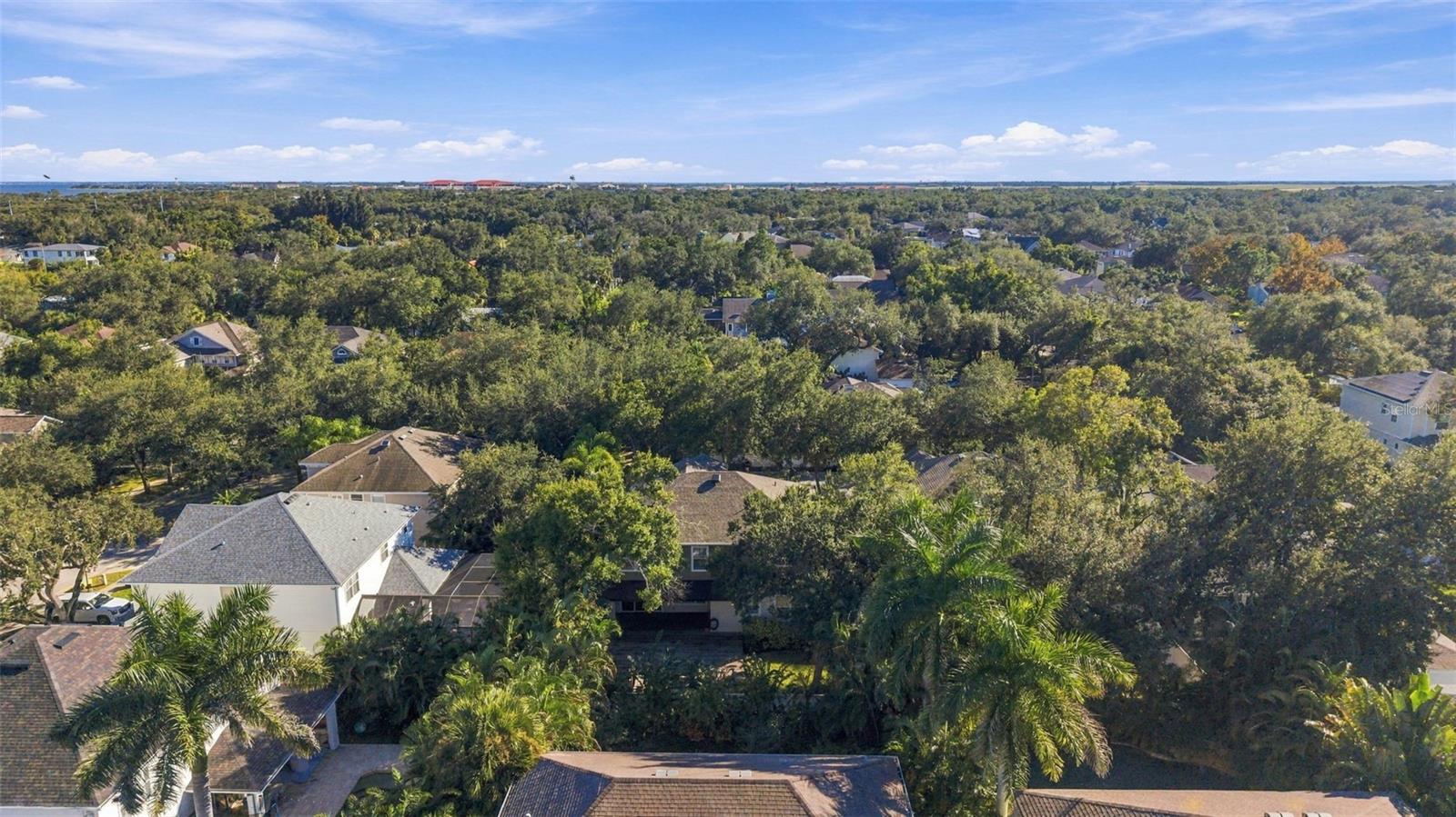 3215 OAK GREEN WAY — photo 48