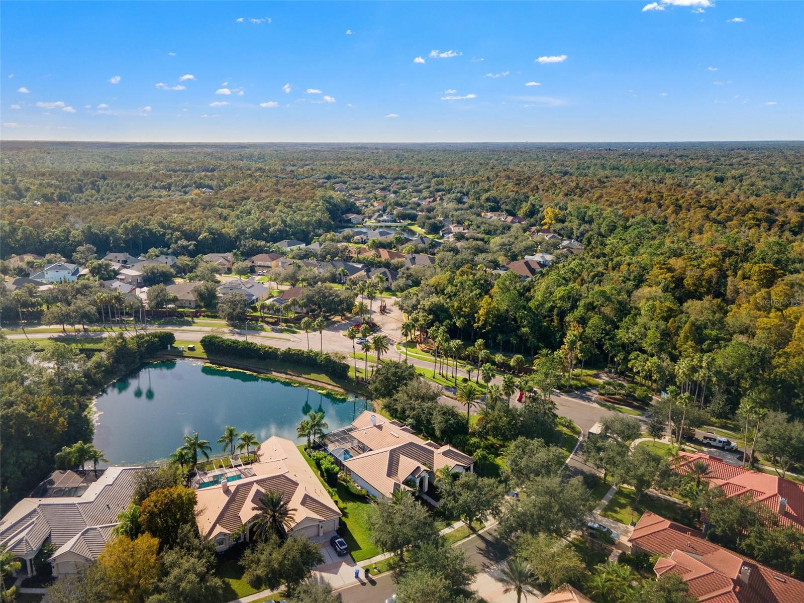 17206 TALENCE CT — photo 62