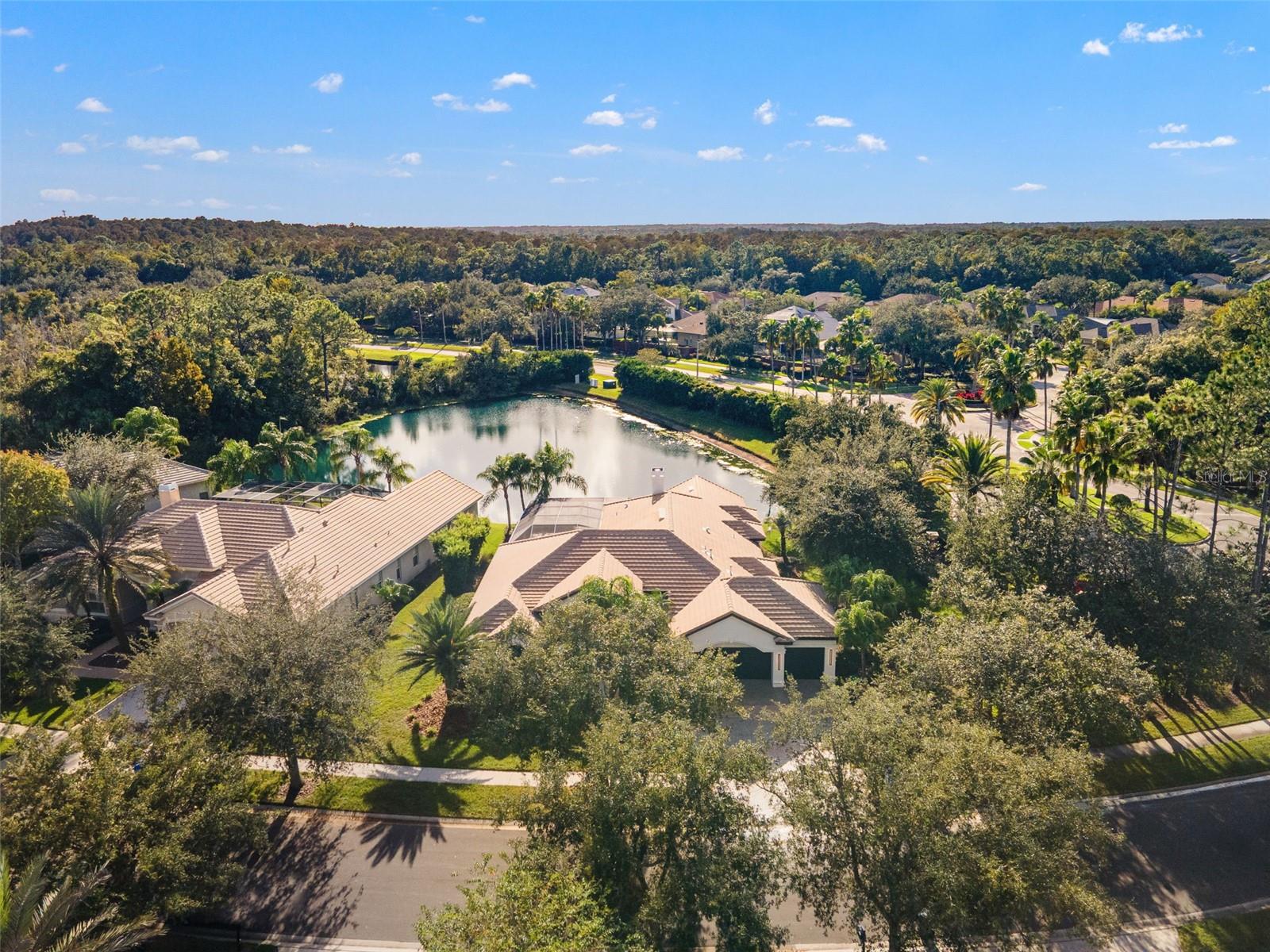 17206 TALENCE CT — photo 51